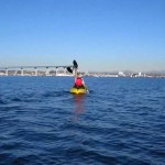 A Kayaking Adventure Courtesy of the New Coronado Boathouse (photos & video)