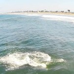 Aerial View of Dolphins at Silver Strand State Beach in Coronado shot on DJI Phantom II Drone