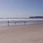 Bird Chasing on Coronado Beach