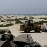 Coronado Dunes Spell CORONADO