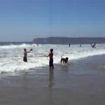 Dog Beach on Coronado