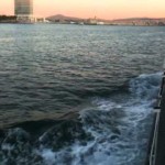 Ferry to Coronado:  “Dolphin Traffic”