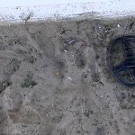 Gold Ring Found on Coronado Beach (Ferry Landing)