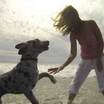 GoPro Coronado Beach Dog