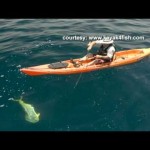 Kayak Fishing Around Coronado