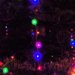 Lighting of Coronado Holiday Tree at Rotary Plaza