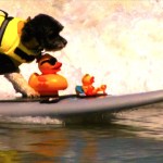 Loews Coronado Bay Resort SURF DOG World Record Breaker!