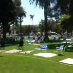 Spreckels Park Packed for Rockola Concert