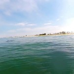 Surfing with Dolphins 2.0 – Pod Encounter @ Silver Strand State Beach in Coronado via Air & Sea