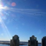 USS Stennis Air Wing in Flight over San Diego