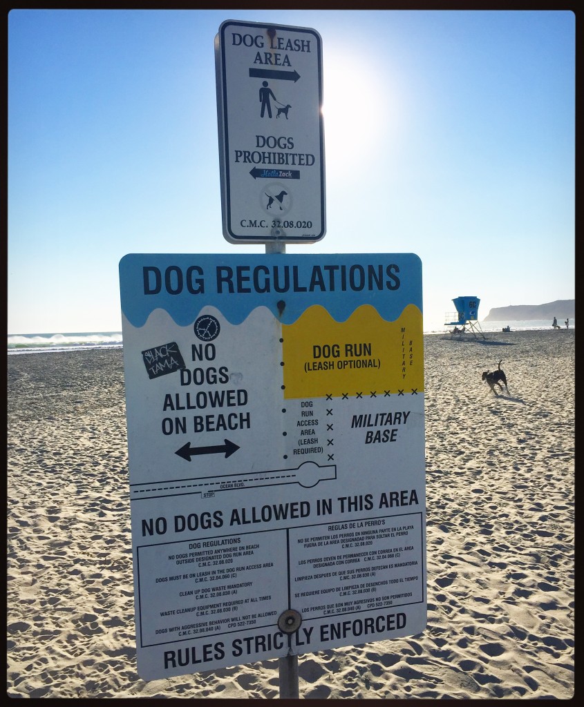 Dog regulations at Coronado Dog Beach along Ocean Boulevard are clearly posted.