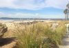 Coronado ocean water and air quality report – July 30-Aug. 6, 2026