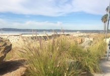 Coronado ocean water and air quality report – July 30-Aug. 6, 2026