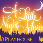 little_night_playhouse