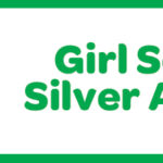 girl scouts silver award banner