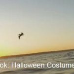 urt-spook halloween 2016