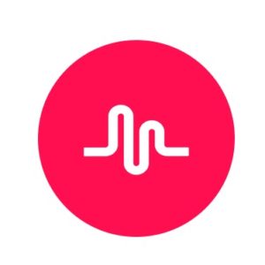 The musical.ly app is free. After signing up, people can follow Skye by finding her under the name: @skye.vanderlinden