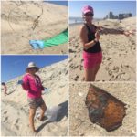 Gator Beach cleanup