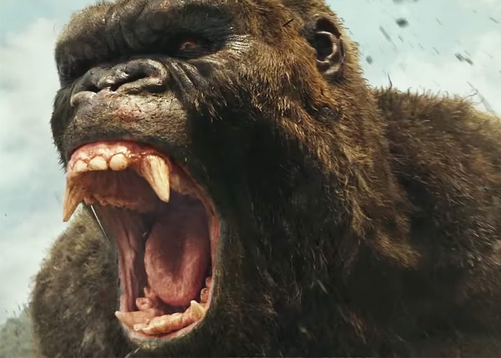 Pictures Of King Kong 3