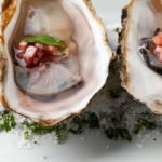 bluewater oysters on the half shell