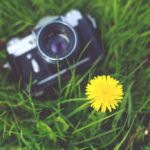 camera-flower