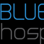 Blue Bridge logo horizontal