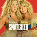 Snatched movie