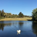 hike_lake_swan