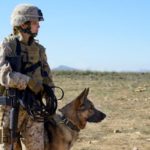 MOVIE REVIEW MEGAN LEAVEY