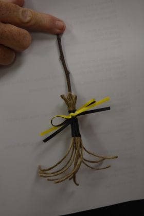 individual broom pin