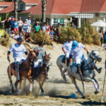 sand_del_horses beach polo