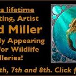 art_wildlife David Miller artist