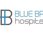 blue bridge logo