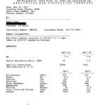 Lab Results copy