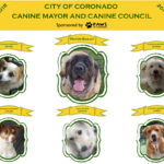 Canine Council 2016-2018