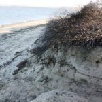 Gran Caribe Shoreline Park Erosion