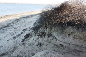 Grand Caribe Shoreline Park Erosion