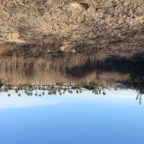 Grand Caribe Shoreline Park Before 1