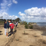 Grand Caribe Shoreline Park Volunteers Inspect Their Work