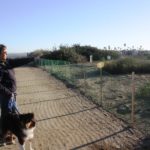 Grand Caribe Shoreline Park Mary Berube