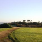 Grand Caribe Shoreline Park View of Replanted Path