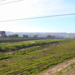 Tijuana Border Sewage