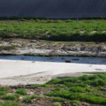 Tijuana Border Sewage river