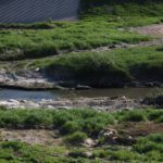 Tijuana Border Sewage river