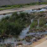 Tijuana Border Sewage river