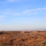 Tijuana Border Sewage