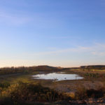 Tijuana Border Sewage