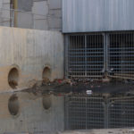 Tijuana Border Sewage