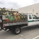 dockless Bikes