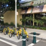 panera bikes